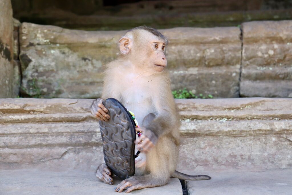 バイヨン寺院