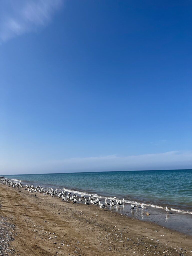 海辺inマスカット