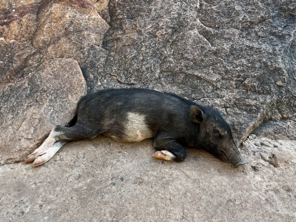 バダミ洞窟寺院