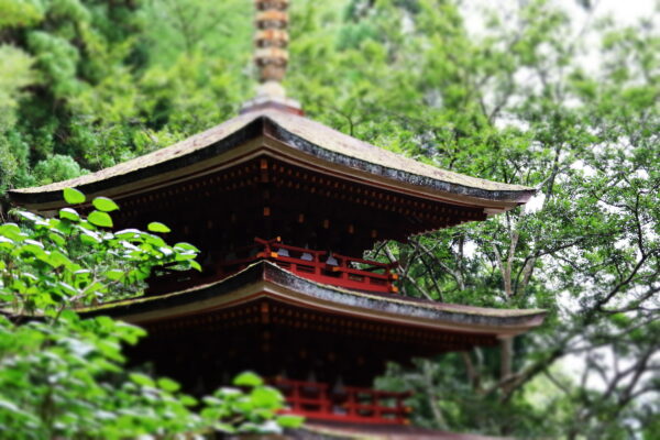奈良の室生寺