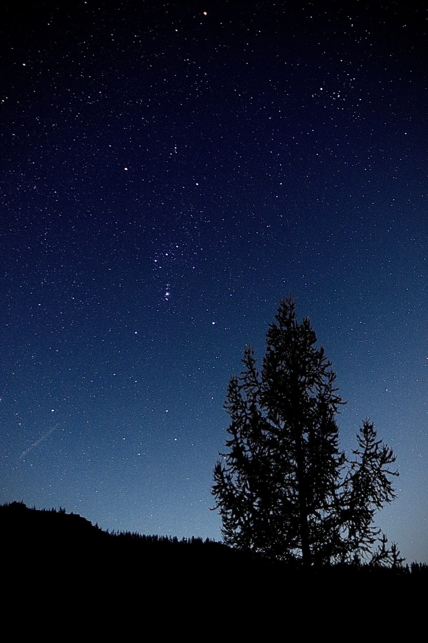 モンゴルの星空