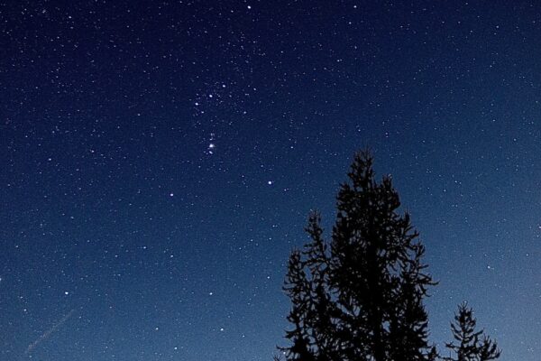 モンゴルの星空