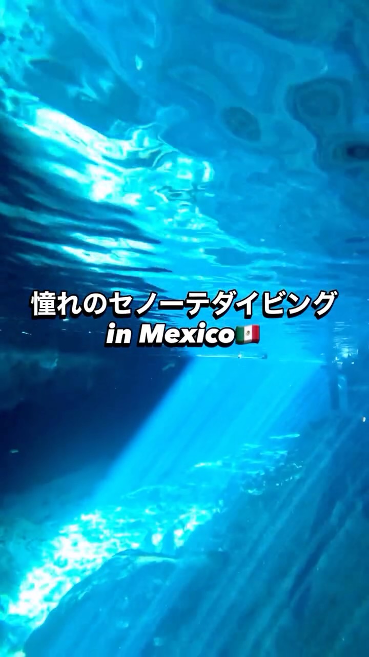 メキシコ🇲🇽で憧れのセノーテダイビング！
一番有名なセノーテドスオホスで潜ってきました…！
透明度がもう無限で…さらに鍾乳洞も神秘的すぎてたまらんかったです🤤#バックパッカー #メキシコ #ダイビング #セノーテ #cenote