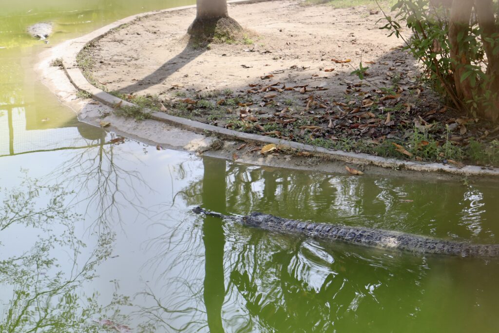 サールナートの動物園