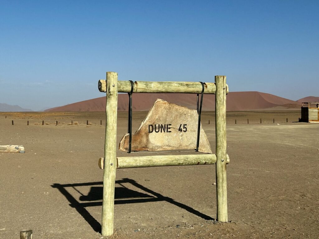 ロードトリップ1日目、Dune