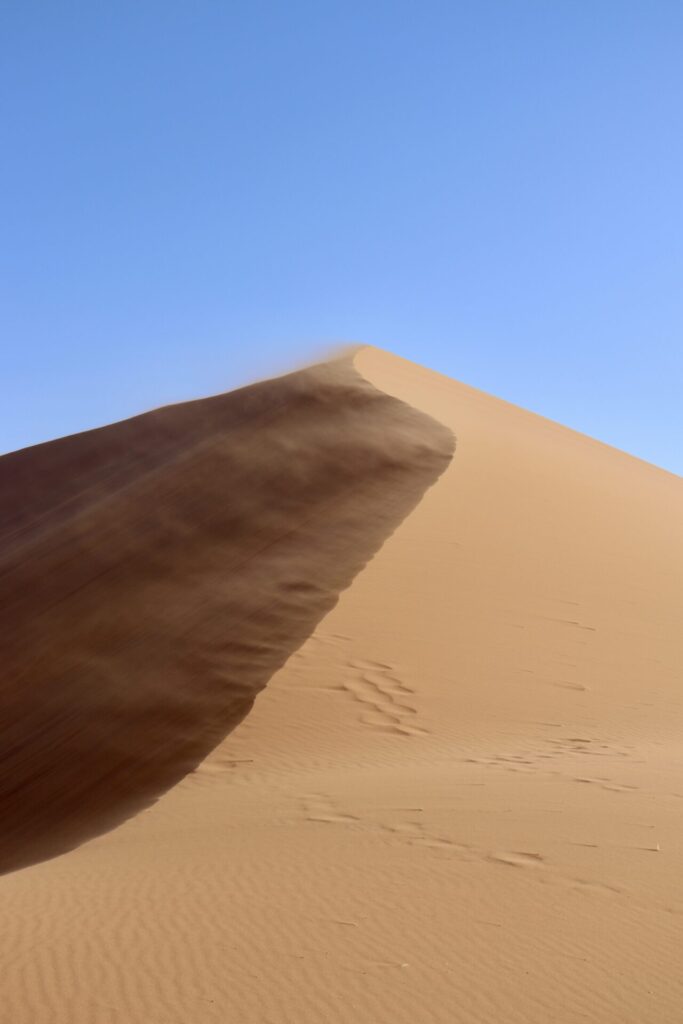 ロードトリップ1日目、Dune