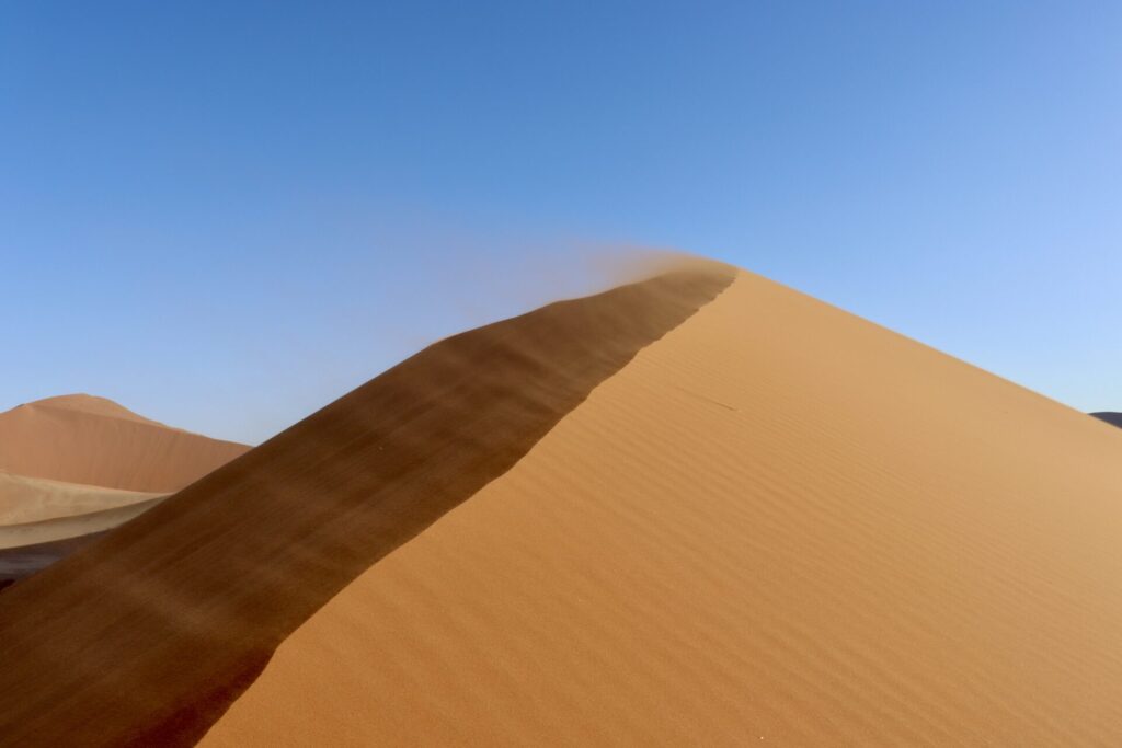 ロードトリップ1日目、Dune