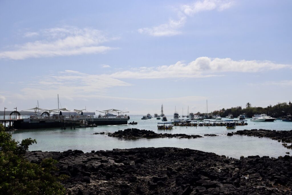 サンタクルス島