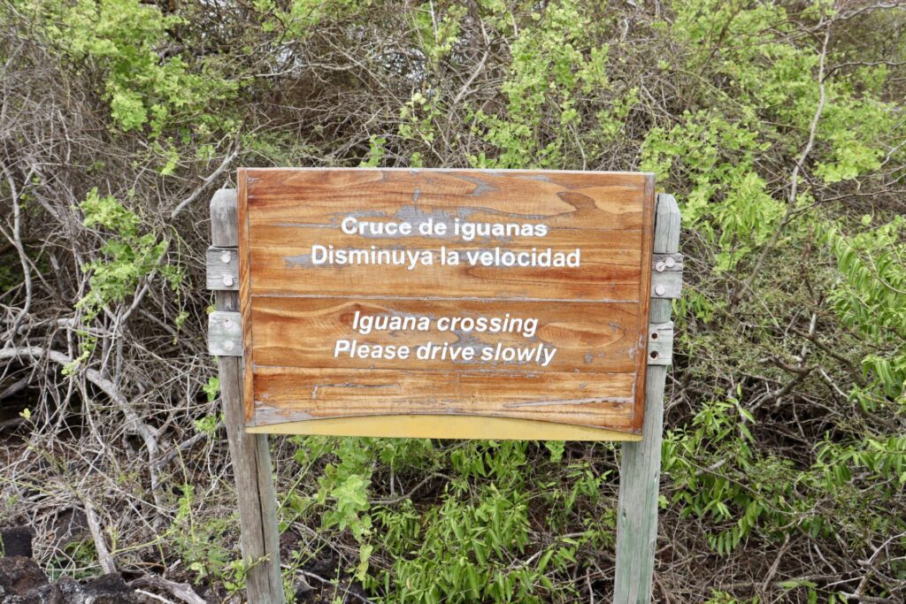 イザベラ島