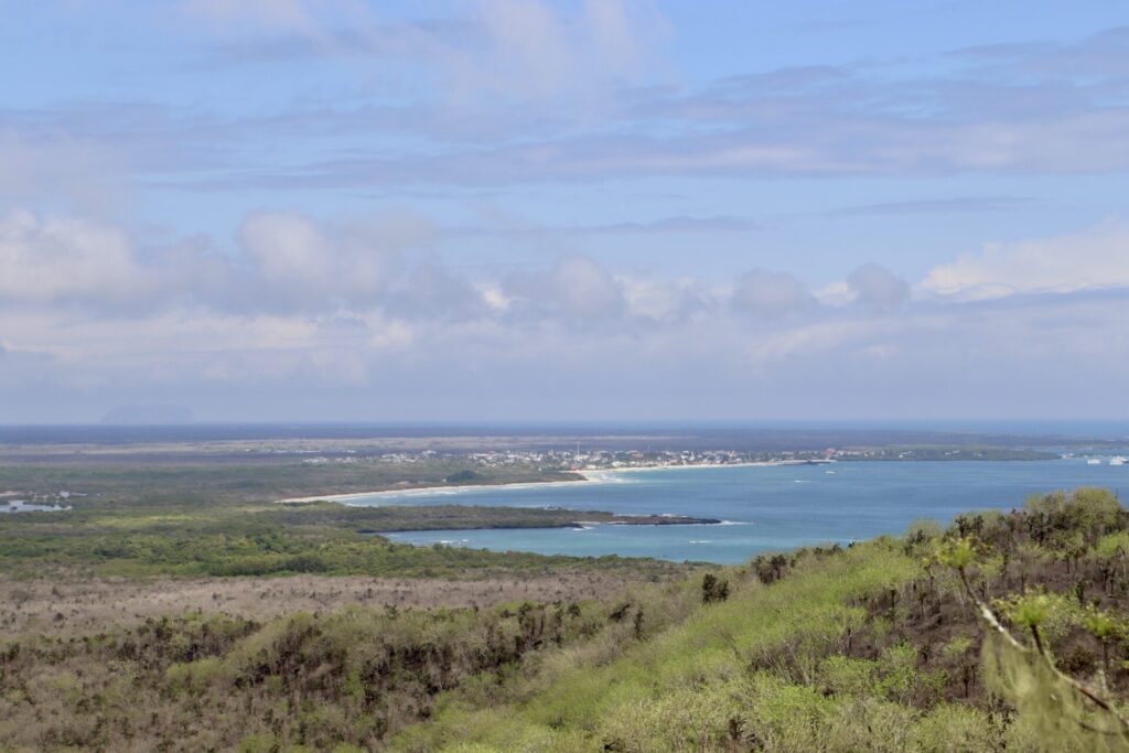 イザベラ島