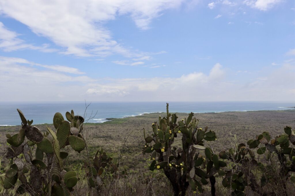 イザベラ島