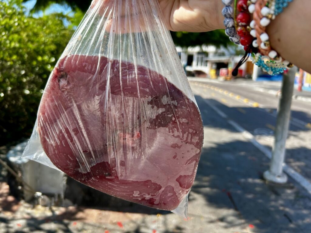 サンタクルス島
