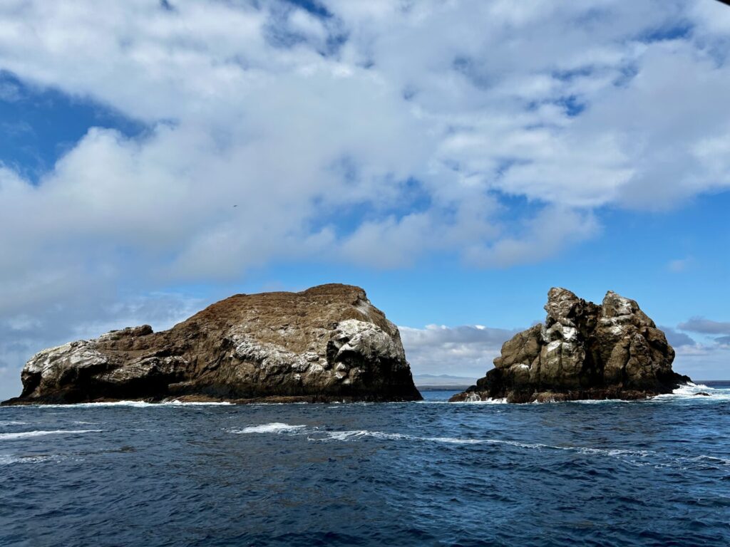 サンタクルス島