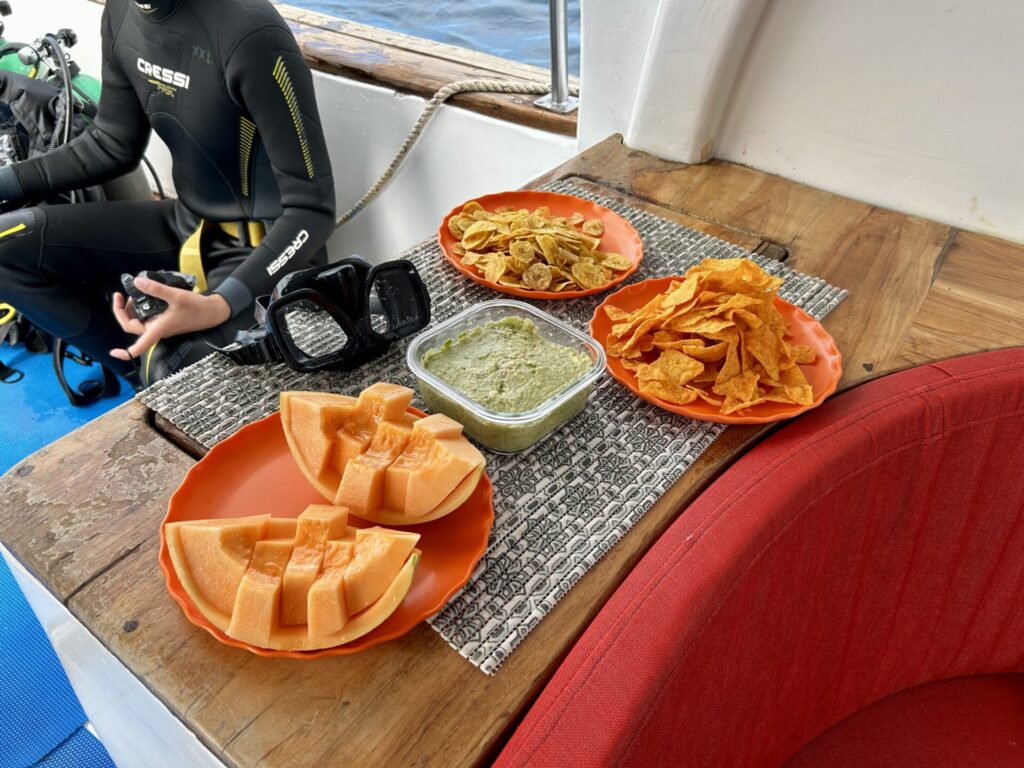 サンタクルス島