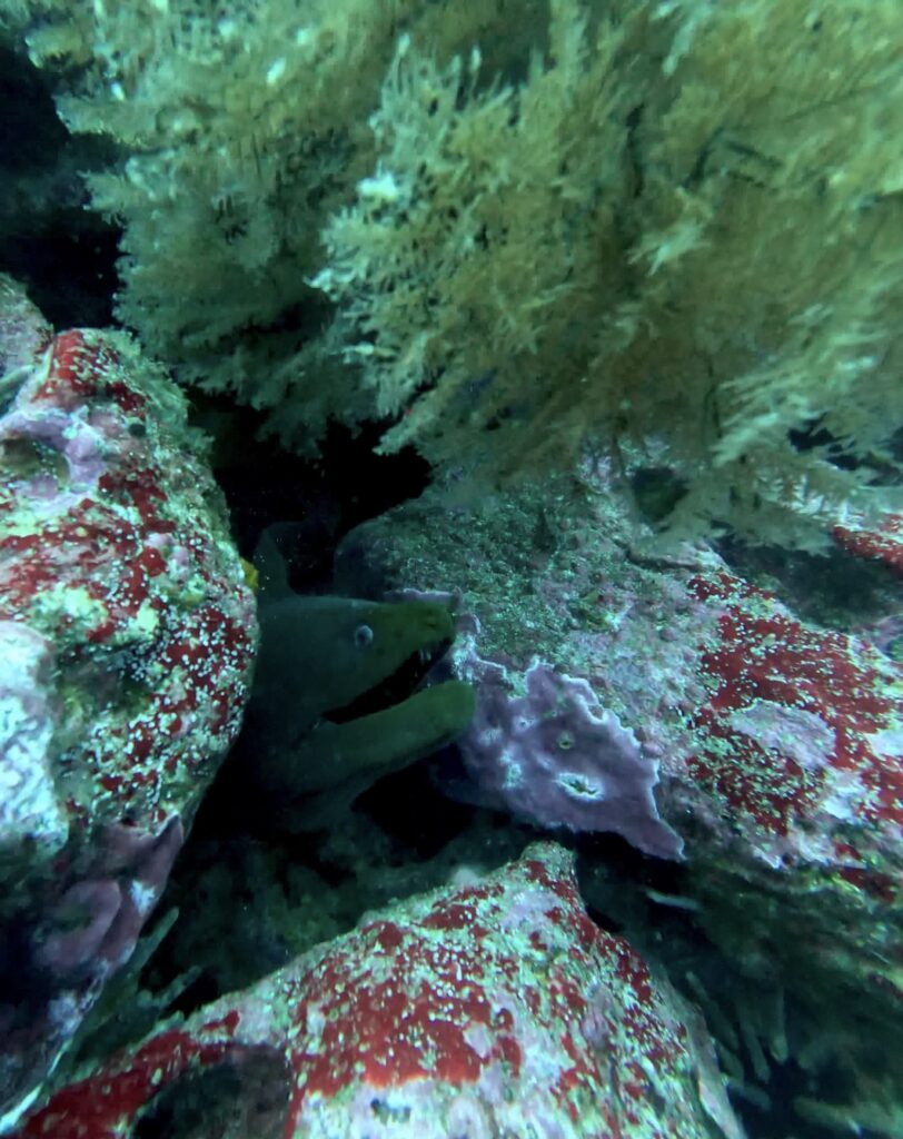 サンタクルス島