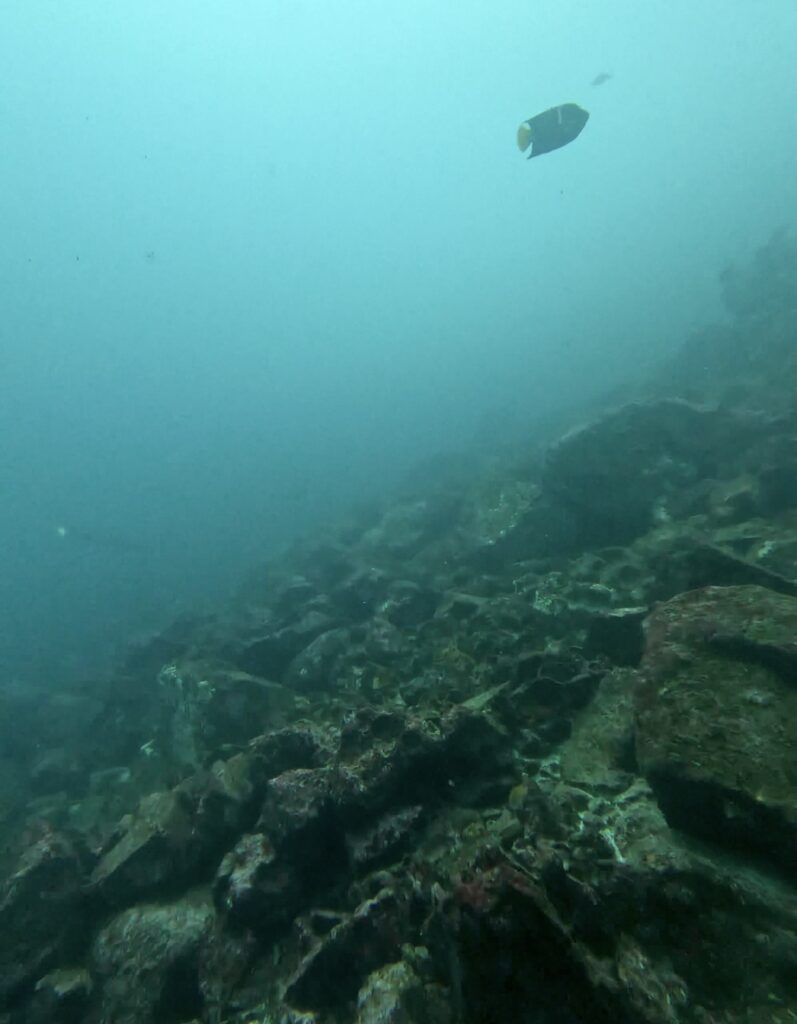 サンタクルス島