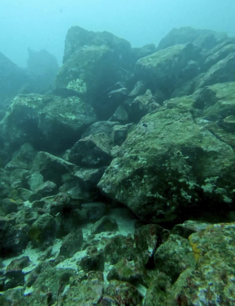 サンタクルス島