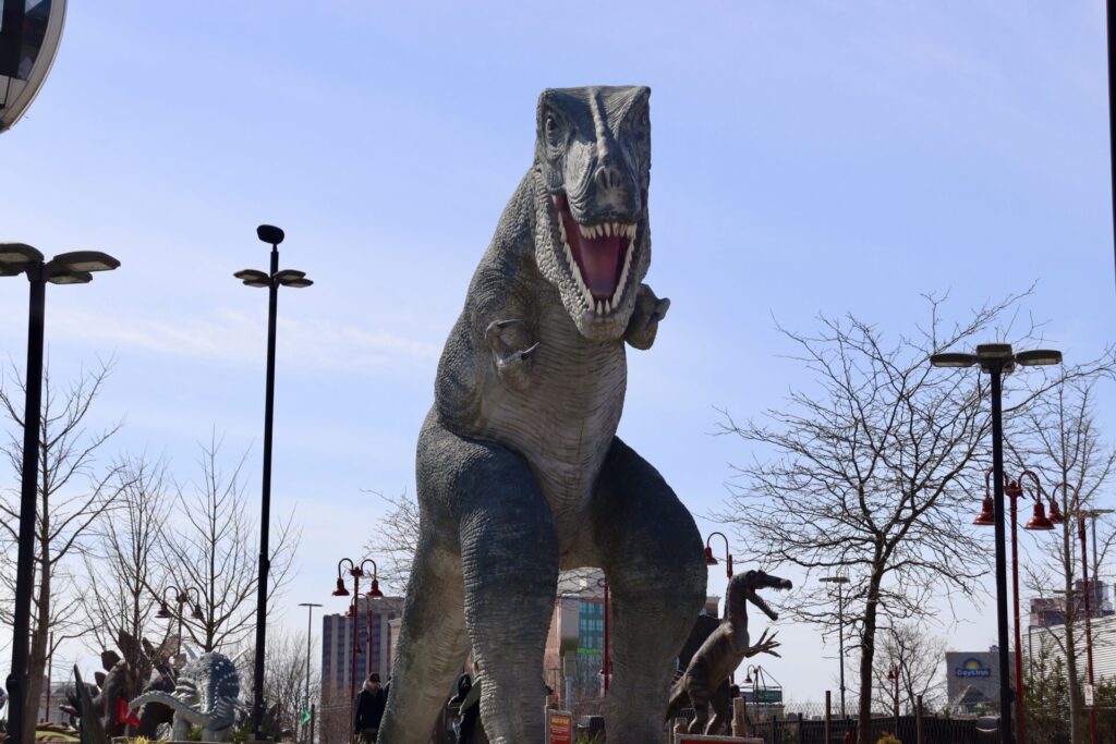 ナイアガラ