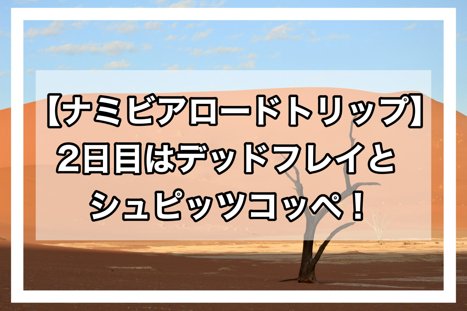 ナミビアロードトリップアイキャッチ画像