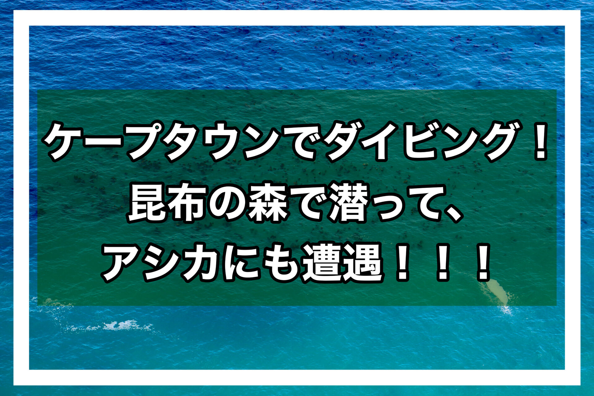 ケープタウンダイビングアイキャッチ画像