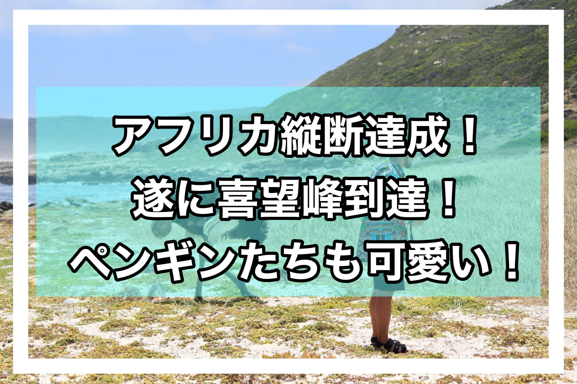 ケープタウンアイキャッチ画像