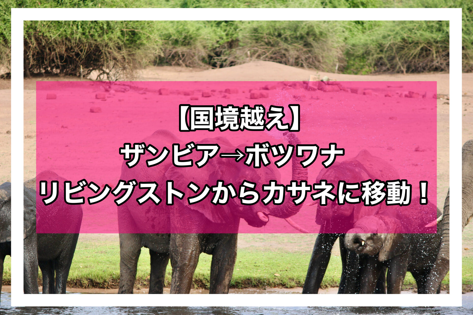 ザンビアボツワナアイキャッチ