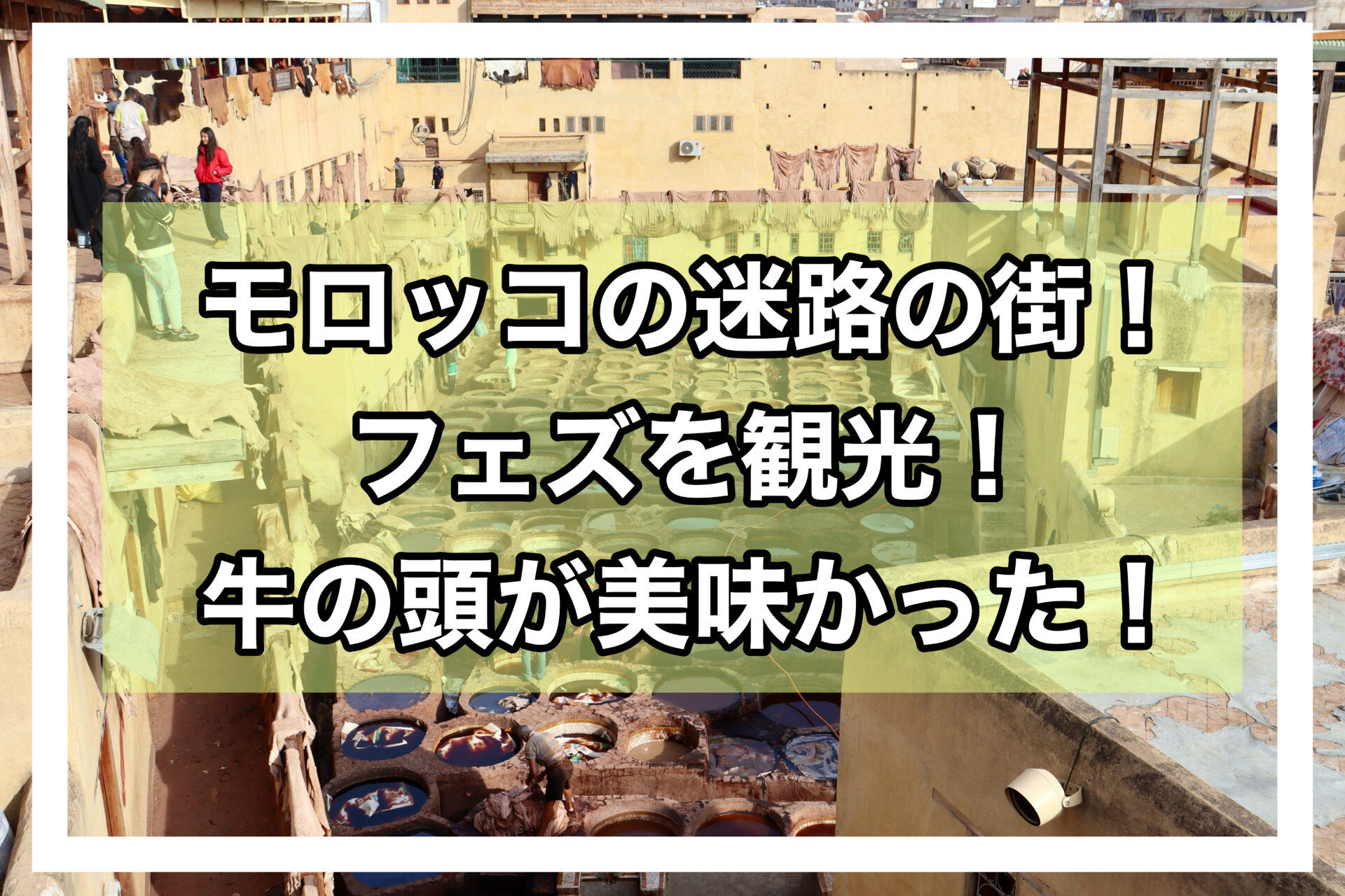 フェズアイキャッチ画像