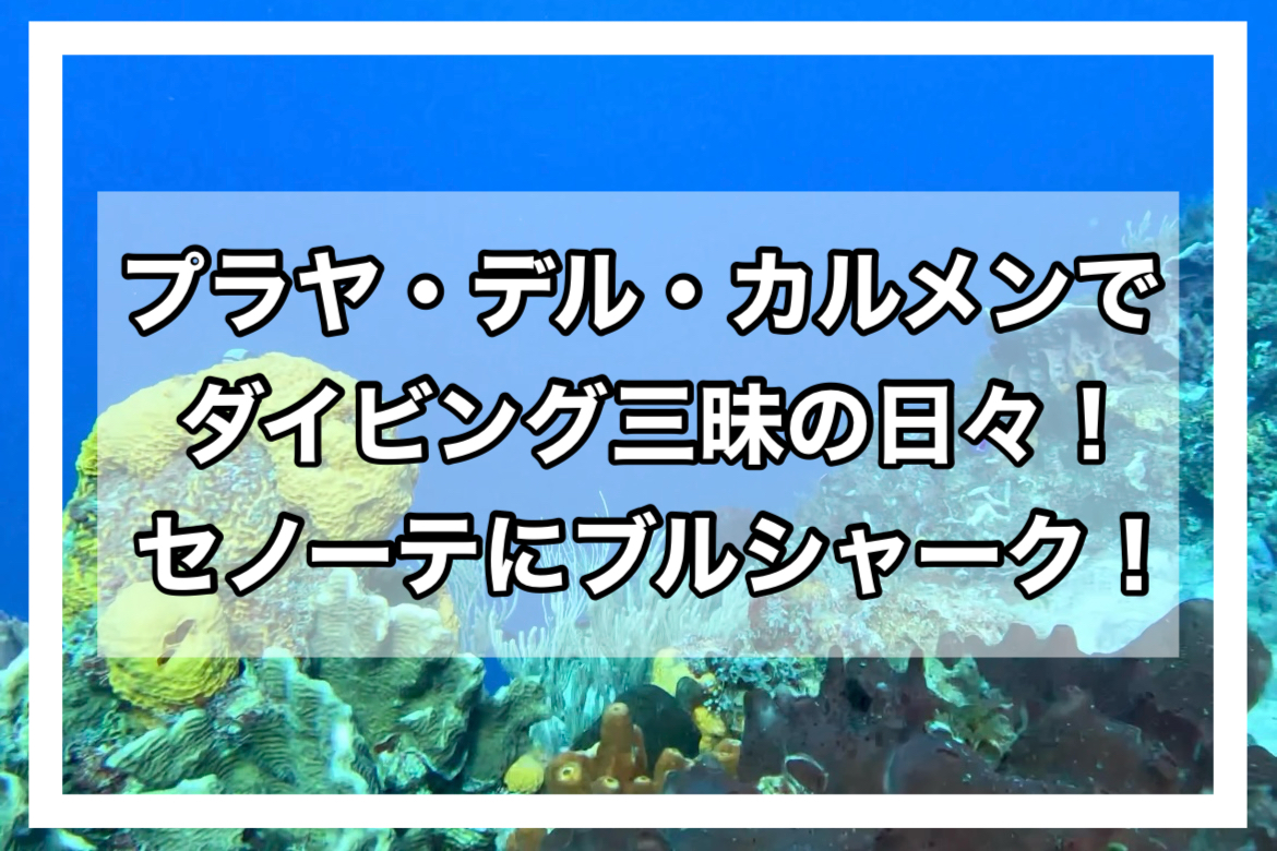 プラヤ・デル・カルメンアイキャッチ画像