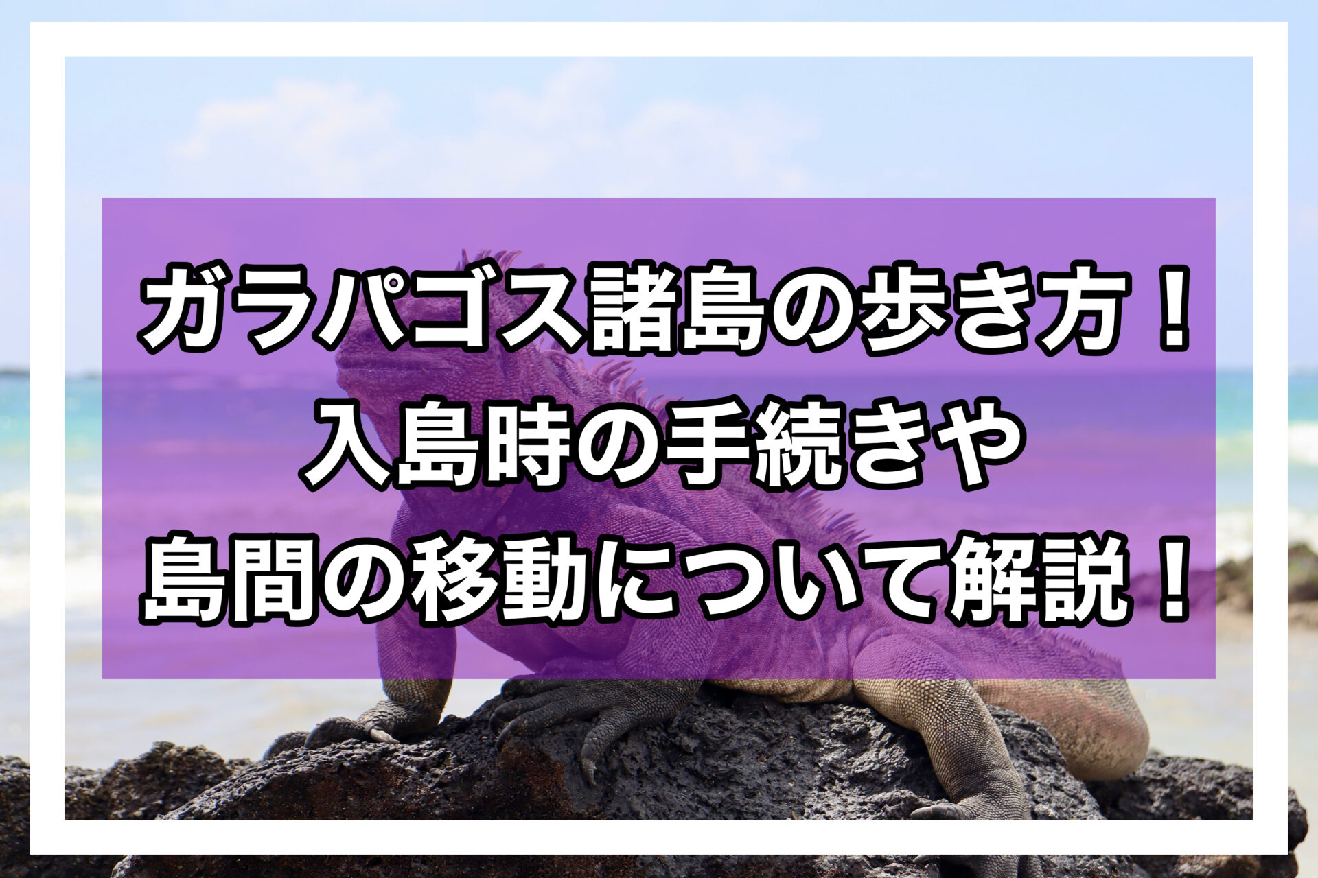 ガラパゴス諸島の歩き方アイキャッチ画像
