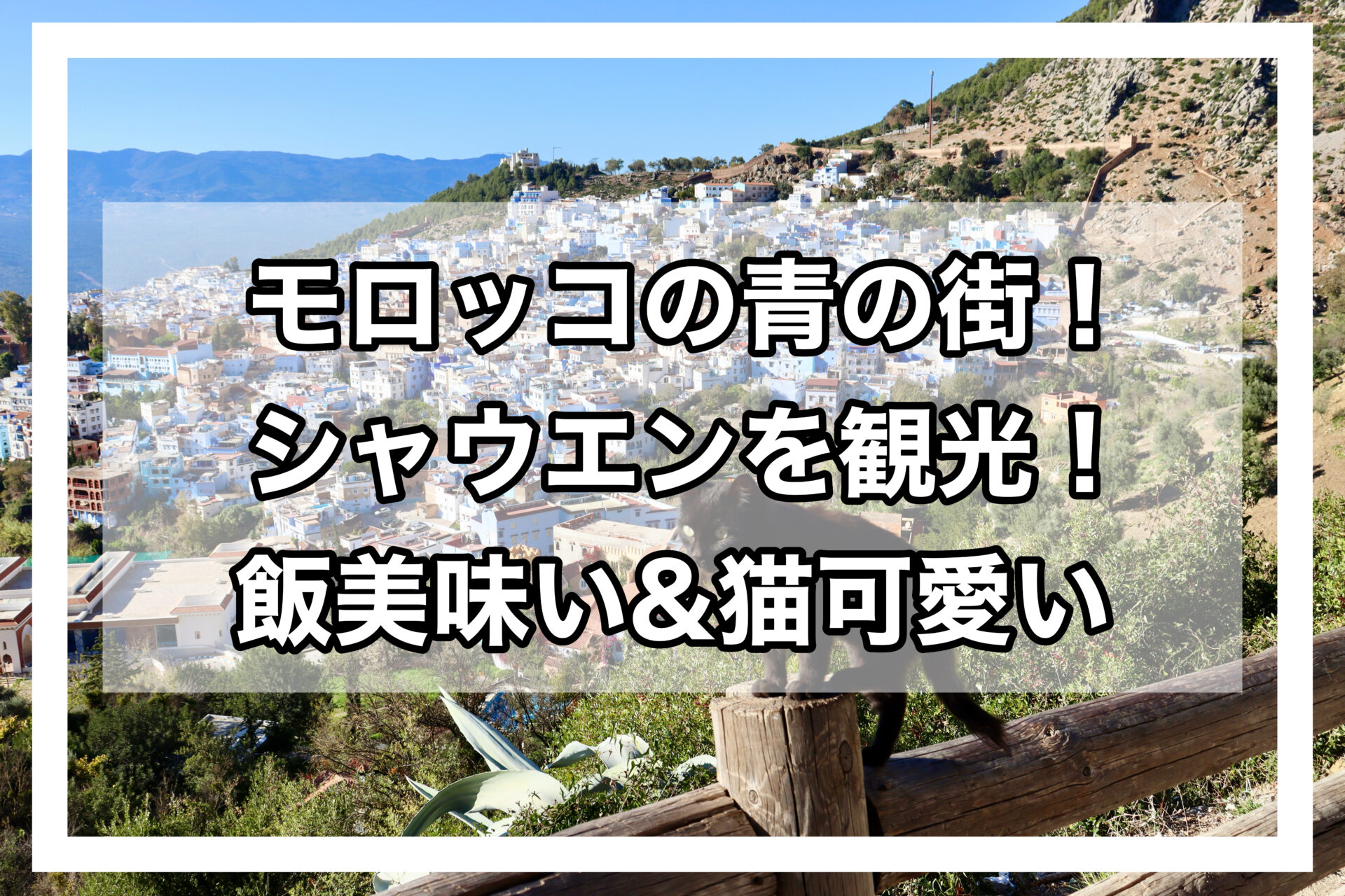 シャウエンアイキャッチ画像