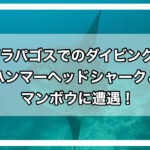 ガラパゴスダイビングアイキャッチ画像