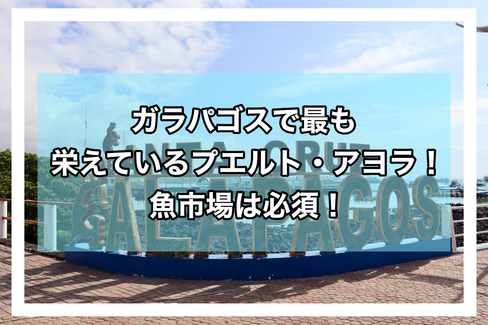 サンタクルスアイキャッチ画像