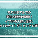 モアルボアルアイキャッチ画像
