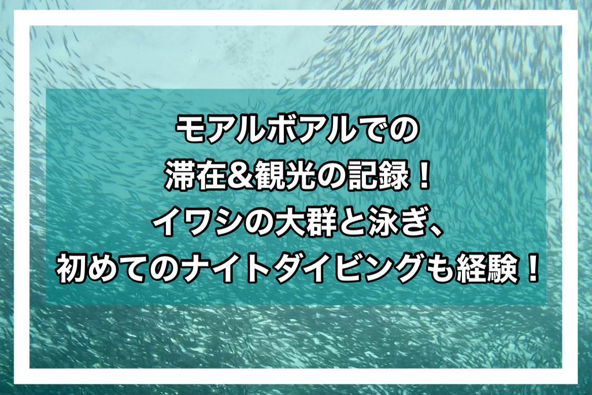 モアルボアルアイキャッチ画像