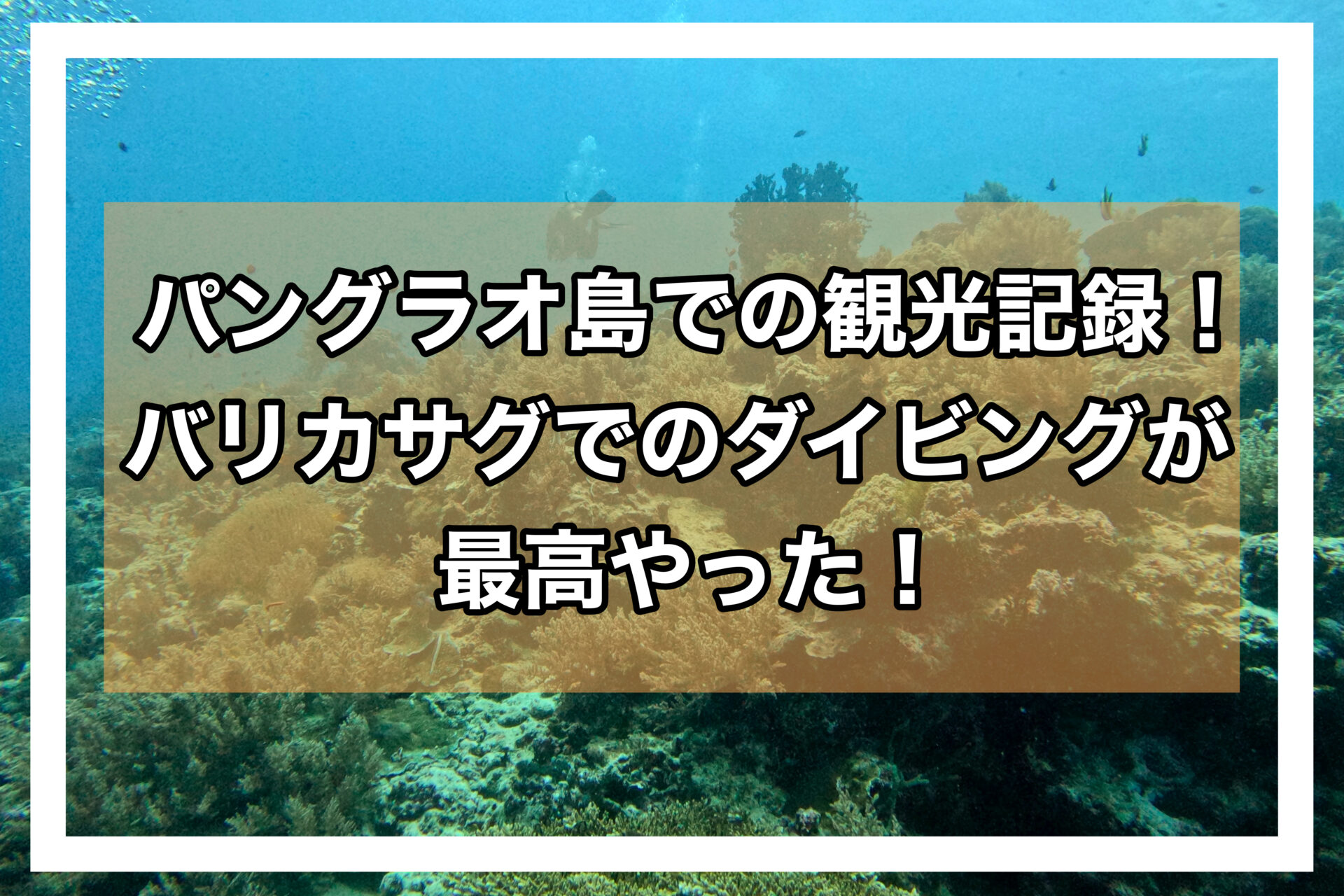 パングラオアイキャッチ画像