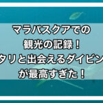 マラパスクアアイキャッチ画像