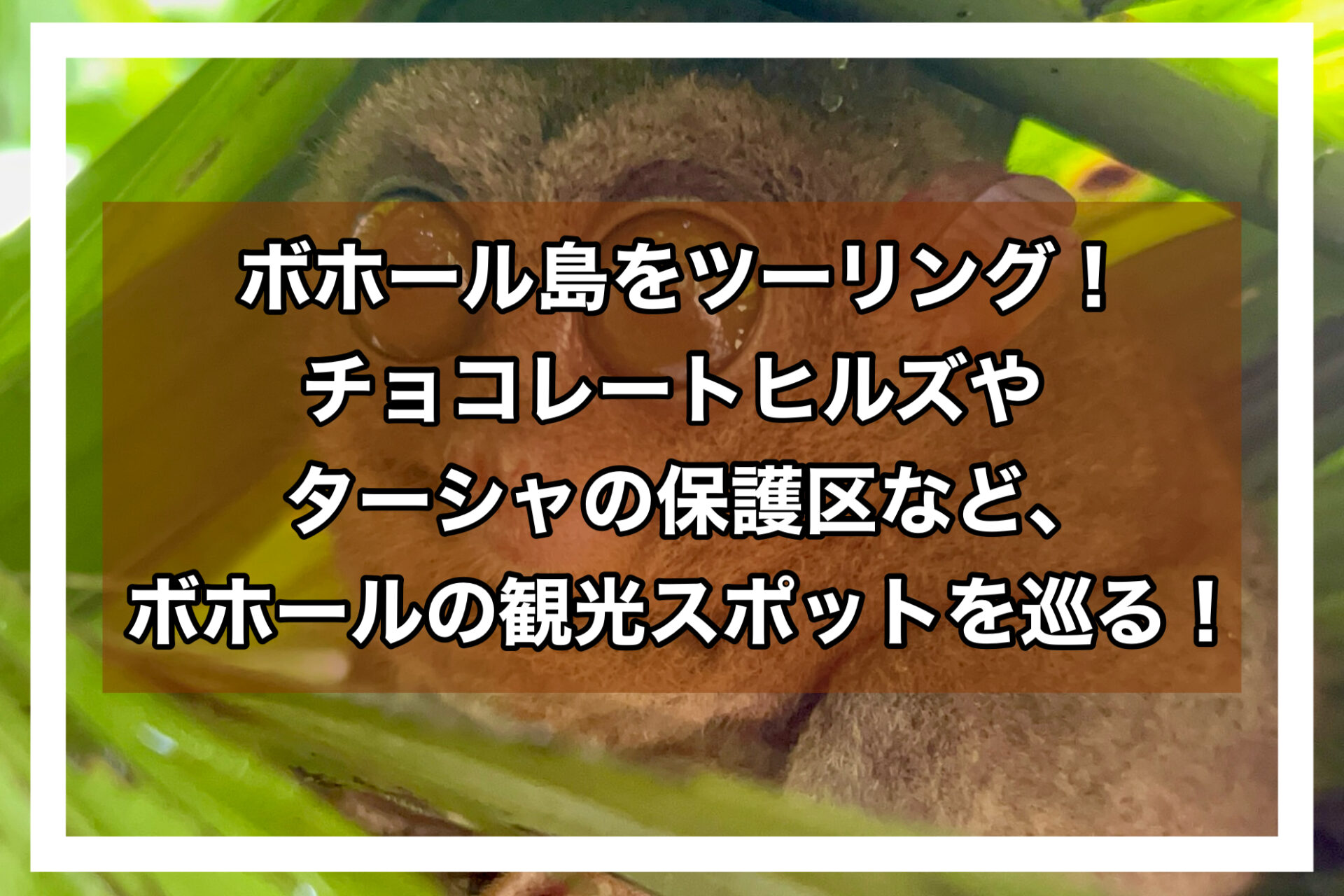 ボホールアイキャッチ画像